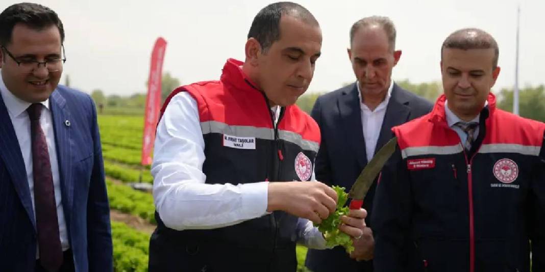 Doğu’nun Çukurovası’nda hasat heyecanı! 200 ton üzeri verim bekleniyor 2
